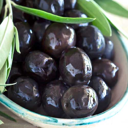 Zwarte olijven Salkiny eerste
