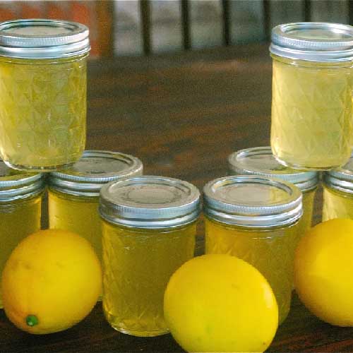 Zitrone JAM